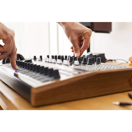 Arturia MiniBrute 2S Synthesizer