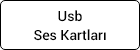 Usb Ses Kartları
