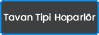 Tavan Tipi Hoparlör