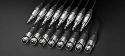  - Alva X8T8 Pro 2 8'li TRS to XLR Dişi Kablo