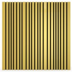 Artnovion - Artnovion Siena (Marron) - Absorber ( 6 Adet 60 x 60 cm)