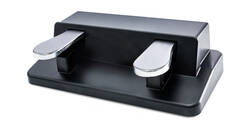 M-Audio - M-Audio Sp Dual Çiftli Pedal