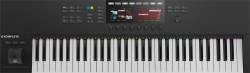 Native Instruments - Native Instruments Komplete Kontrol S61 MK2